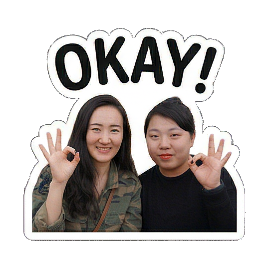 Sticker 16 from Sticker Pack e7d933e7, designed for expressive chats, social replies, and everyday reactions.
