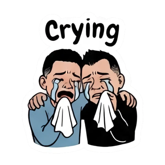 Twin brothers crying with tissues with 'Crying' text. Twin Brothers Daily Vibe sticker for expressive chats and social replies.
