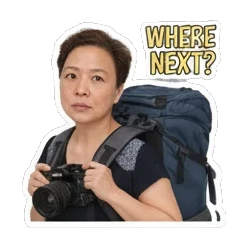 Lost traveler, 'WHERE NEXT?' Travel Adventures sticker for expressive chats and social replies.