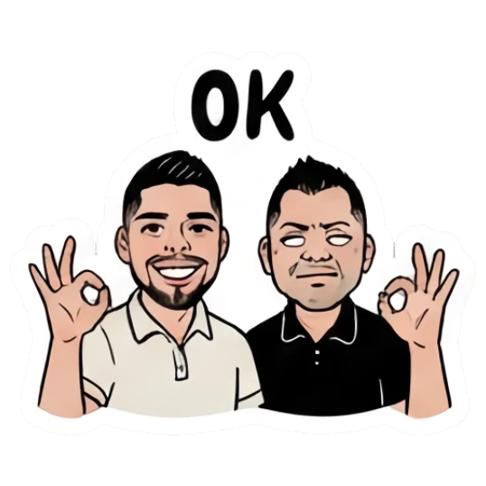 Twin brothers making OK hand signs with 'OK' text. Twin Brothers Daily Vibe sticker for expressive chats and social replies.