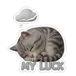 Gray tabby cat sleeping under rain clouds with MY LUCK text Cheerful Gray Tabby Cat sticker for expressive chats and social replies.