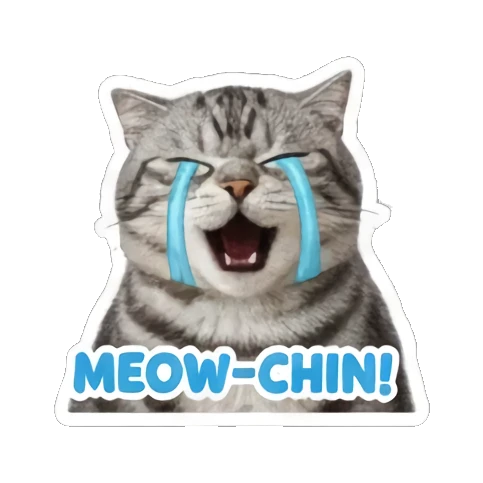 猫咪戴墨镜炫富 Grumpy Tabby Daily sticker for expressive chats and social replies.