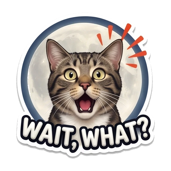 Tabby cat looking surprised with mouth open and text saying WAIT WHAT. Cosmic Tabby Adventures sticker for expressive chats and social replies.