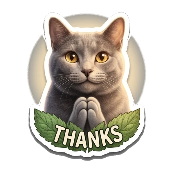 Gray cat with paws together in prayer, text THANKS Gray Cat Daily Vibes sticker for expressive chats and social replies.