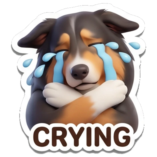 Border Collie crying with blue tears, crossed arms, text CRYING Cheerful Border Collie Expressions sticker for expressive chats and social replies.