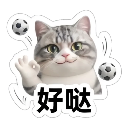 Gray cat making an OK gesture with a soccer ball, text '好哒' Sporty Gray Cat Adventures sticker for expressive chats and social replies.