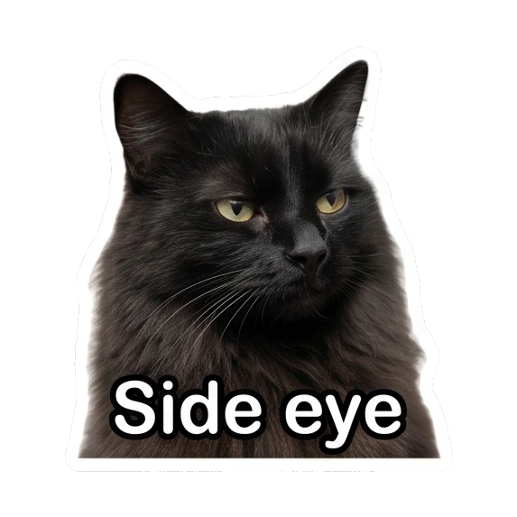 Suspicious black cat giving side eye with text Side eye Mystic Black Cat Moods sticker for expressive chats and social replies.