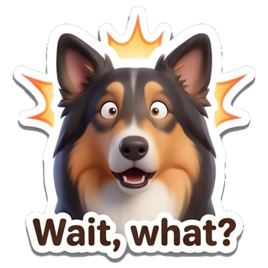 Border Collie looking surprised with glowing sparks, text Wait, what? Cheerful Border Collie Expressions sticker for expressive chats and social replies.
