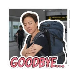 Farewell, 'GOODBYE...' Travel Adventures sticker for expressive chats and social replies.