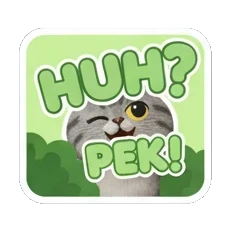 Tabby cat confused with HUH PEK text Tabby Cat Daily Moods sticker for expressive chats and social replies.