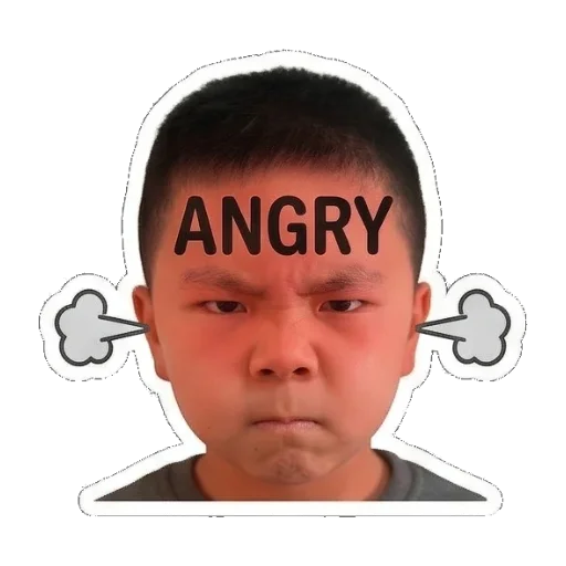 小脸涨红，气鼓鼓地说ANGRY Boy's Expressive Faces sticker for expressive chats and social replies.