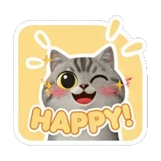 Tabby cat smiling brightly with HAPPY text Tabby Cat Daily Moods sticker for expressive chats and social replies.