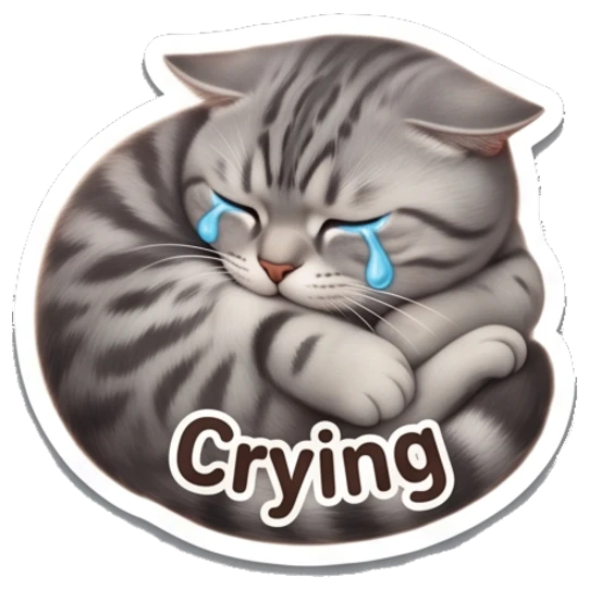 Sad tabby cat curled up crying with 'Crying' text Tabby Cat Daily Vibes sticker for expressive chats and social replies.