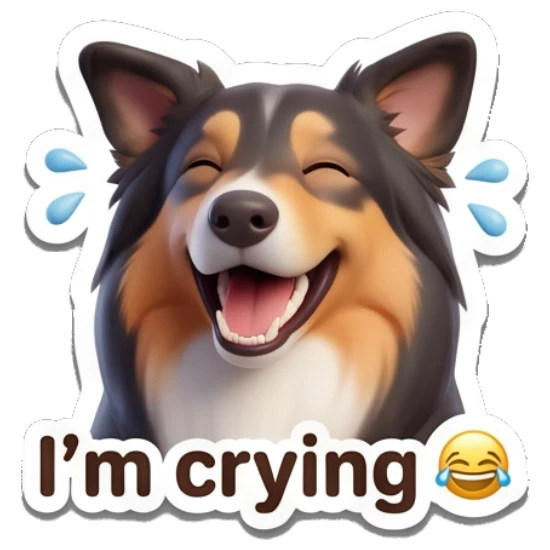 Border Collie laughing with tears of joy, text I'm crying Cheerful Border Collie Expressions sticker for expressive chats and social replies.