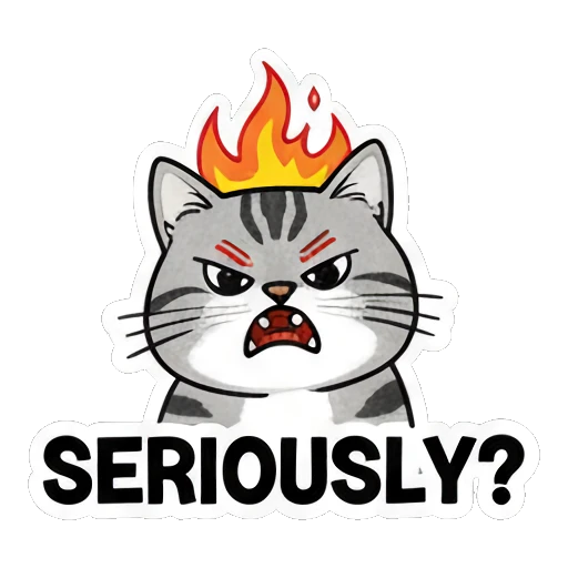 Gray cat looking furious with fire background saying SERIOUSLY? Gray Tabby Moods sticker for expressive chats and social replies.