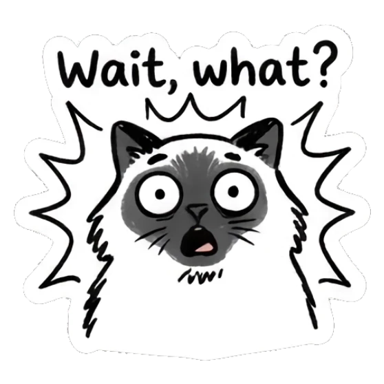 Shocked Ragdoll cat with wide eyes, text 'Wait, what?' Ragdoll Cat Moods sticker for expressive chats and social replies.
