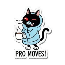 冬季运动失误 Black Cat Ski Adventures sticker for expressive chats and social replies.