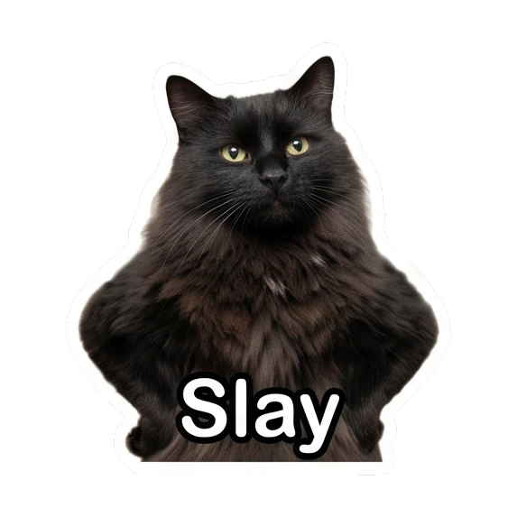 Confident black cat with hands on hips and text Slay Mystic Black Cat Moods sticker for expressive chats and social replies.