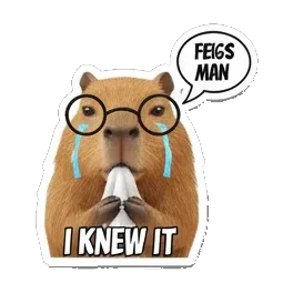 Sticker 10 from Sticker Pack 72872a73, designed for expressive chats, social replies, and everyday reactions.