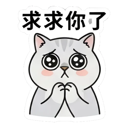 Gray cat looking pleading with watery eyes. Gray Cat Daily Vibes sticker for expressive chats and social replies.