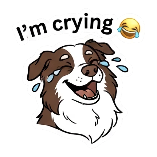 Laughing Border Collie crying tears of joy with text I'm crying Loki.. LOWKEY Aussie! sticker for expressive chats and social replies.