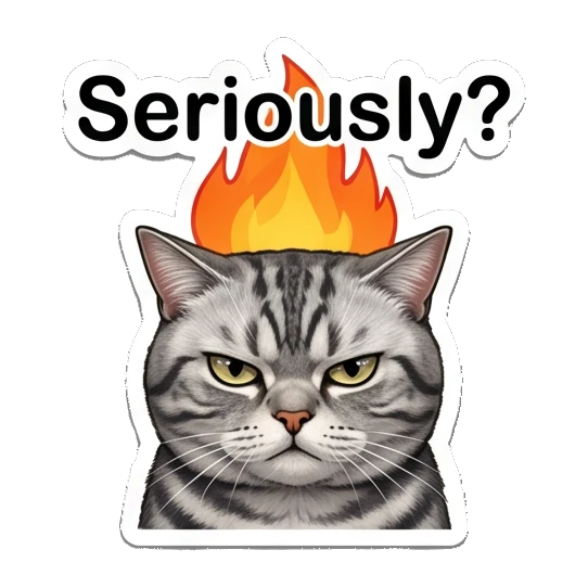 Angry tabby cat with fire on head and text Seriously? Fluffy Tabby Moods sticker for expressive chats and social replies.