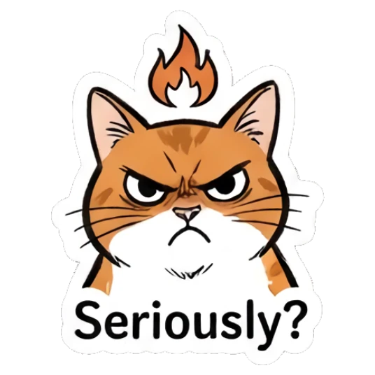 Angry orange cat with a flame above head and text Seriously? Doodle Orange Cat Daily sticker for expressive chats and social replies.