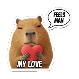 Sticker 14 from Sticker Pack 72872a73, designed for expressive chats, social replies, and everyday reactions.