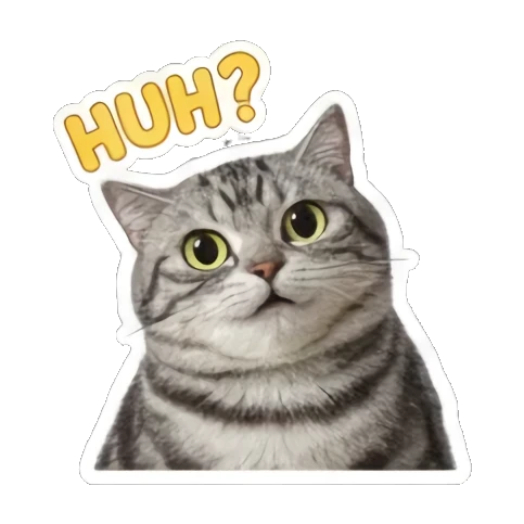 猫咪疑惑表情 Grumpy Tabby Daily sticker for expressive chats and social replies.