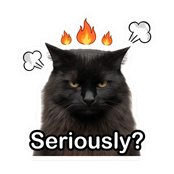 Angry black cat with fire symbols and text Seriously? Mystic Black Cat Moods sticker for expressive chats and social replies.