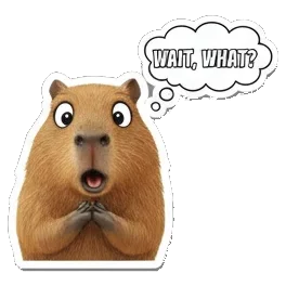 cute expression Sticker Pack 72872a73 sticker for expressive chats and social replies.
