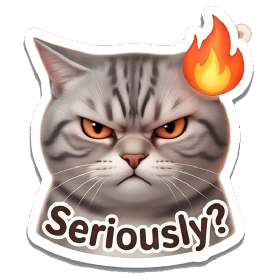 Angry tabby cat with a fire icon above head and 'Seriously?' text Tabby Cat Daily Vibes sticker for expressive chats and social replies.