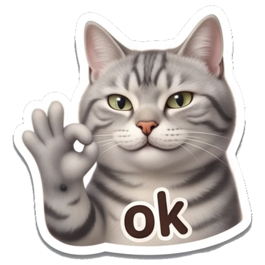 Tabby cat making an OK hand gesture with 'ok' text Tabby Cat Daily Vibes sticker for expressive chats and social replies.