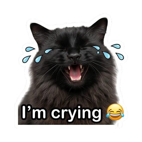 Crying black cat with tears and text I'm crying Mystic Black Cat Moods sticker for expressive chats and social replies.