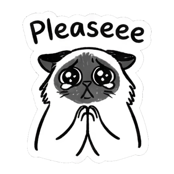 Pleading Ragdoll cat with teary eyes, text 'Pleaseee' Ragdoll Cat Moods sticker for expressive chats and social replies.