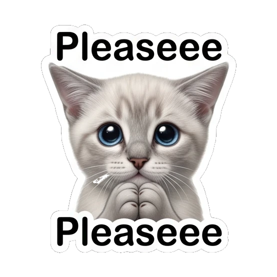 Pleading white cat with big eyes and paws together with text Pleaseee Little White Cat Daily sticker for expressive chats and social replies.