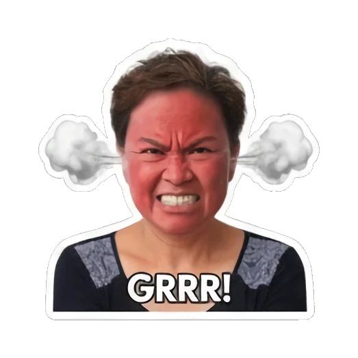 愤怒冒烟抓狂 Real Life Reactions sticker for expressive chats and social replies.