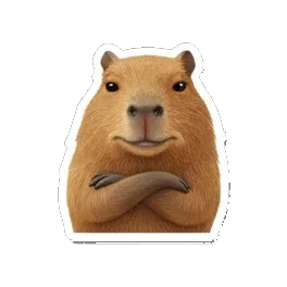 Sticker 9 from Sticker Pack 72872a73, designed for expressive chats, social replies, and everyday reactions.