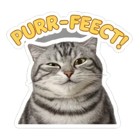 猫咪大笑表情 Grumpy Tabby Daily sticker for expressive chats and social replies.