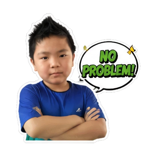 Young boy with arms crossed looking confident with 'NO PROBLEM!' text Energetic Boy Daily Expressions sticker for expressive chats and social replies.