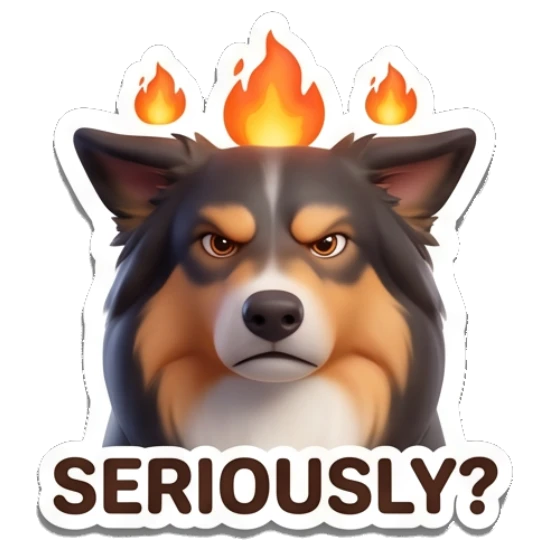 Border Collie looking angry with flames above head, text SERIOUSLY? Cheerful Border Collie Expressions sticker for expressive chats and social replies.