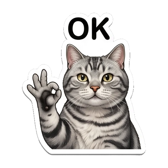 Tabby cat making an OK hand gesture with text OK Fluffy Tabby Moods sticker for expressive chats and social replies.
