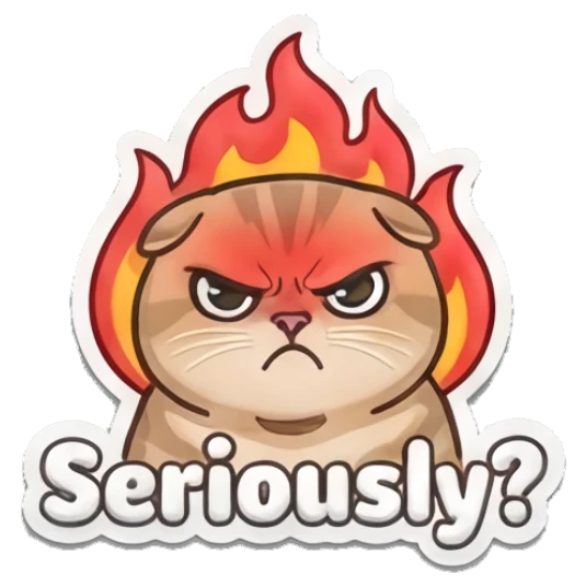 Angry tabby cat with fire background and 'Seriously?' text Puffy Tabby Cat Moods sticker for expressive chats and social replies.