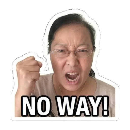 愤怒地喊NO WAY! Mom's Daily Reactions sticker for expressive chats and social replies.