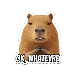 Sticker 13 from Sticker Pack 72872a73, designed for expressive chats, social replies, and everyday reactions.