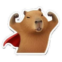 Sticker 12 from Sticker Pack 72872a73, designed for expressive chats, social replies, and everyday reactions.
