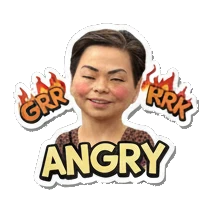 Middle-aged woman looking furious with ANGRY text Cheerful Middle-Aged Woman Expressions sticker for expressive chats and social replies.