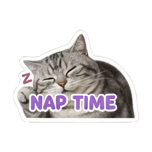 猫咪派对狂欢 Grumpy Tabby Daily sticker for expressive chats and social replies.