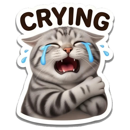 Crying tabby cat with arms crossed with CRYING text Tabby Cat Daily Expressions sticker for expressive chats and social replies.