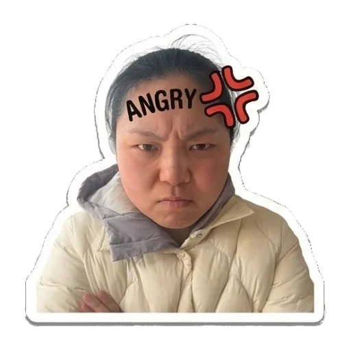 开心大笑，庆祝时刻 Real Person Expressive Stickers sticker for expressive chats and social replies.